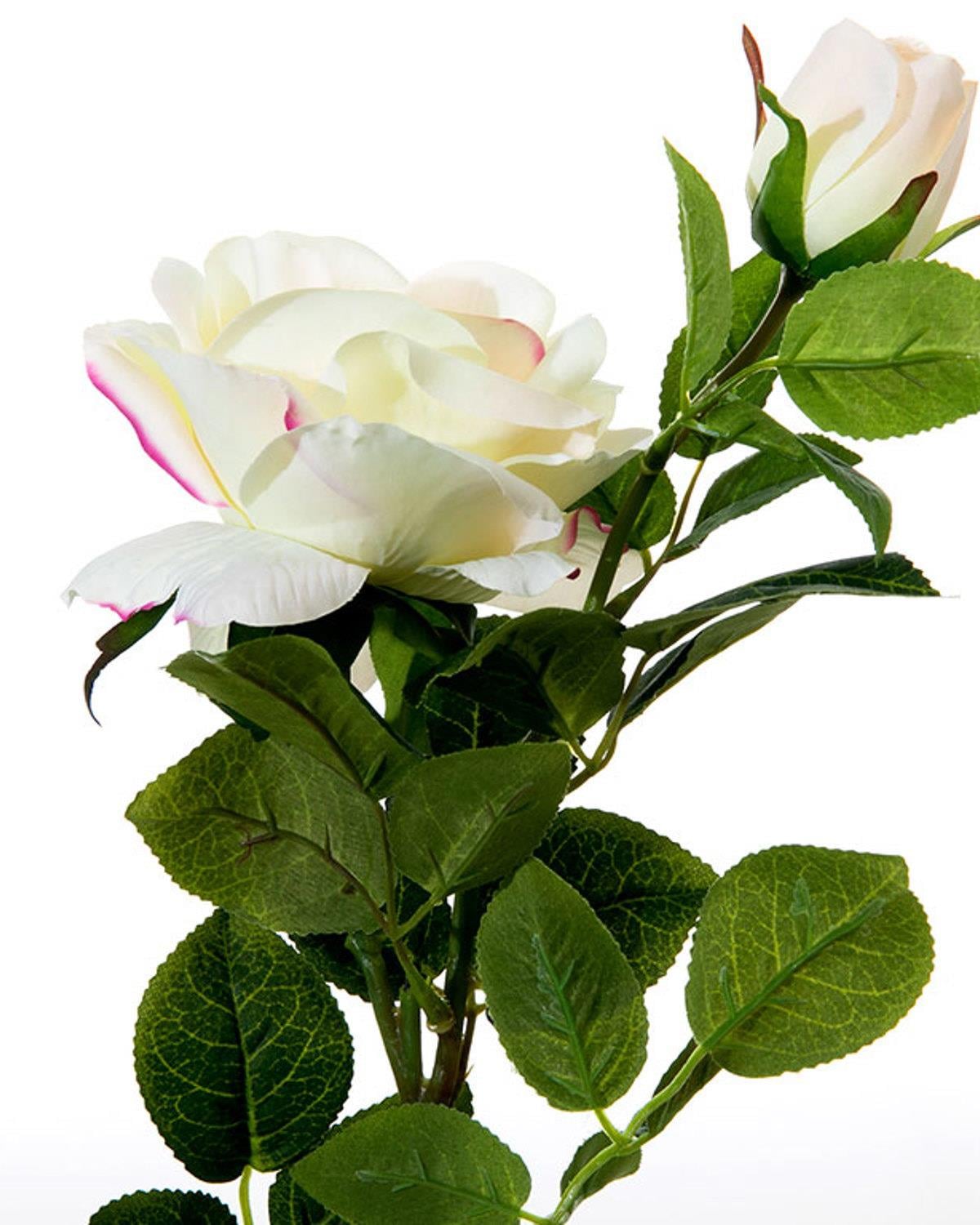 Precious Rose Artificial Flower 64 cm Cream