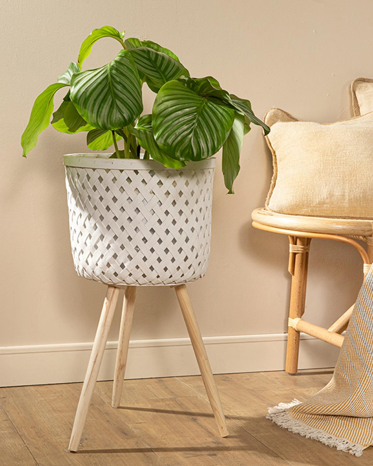 Pure Саксия 33x33x60 см Бял