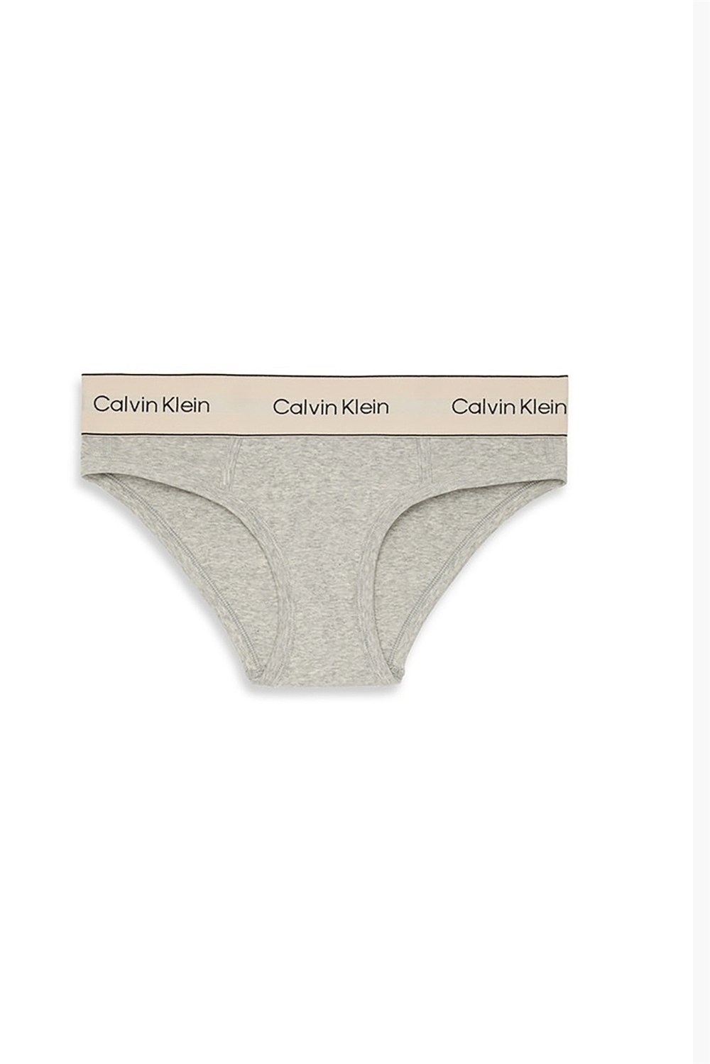 Calvin Klein Bikini Kadın Külot Gri