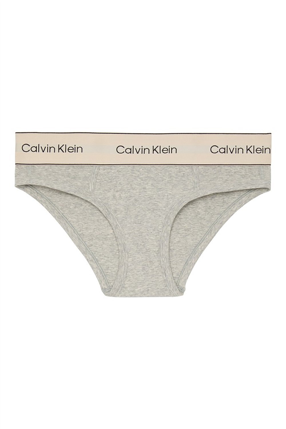 Calvin Klein Bikini Kadın Külot Gri