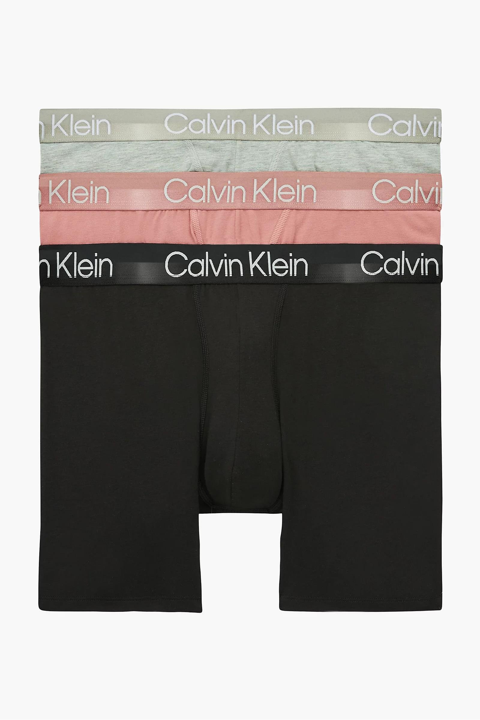 Calvin Klein Boxer Brief 3Pk Erkek 3lü Boxer