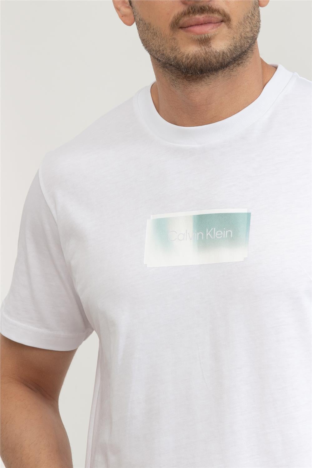 Calvin Klein Erkek Bisiklet Yaka T-Shirt