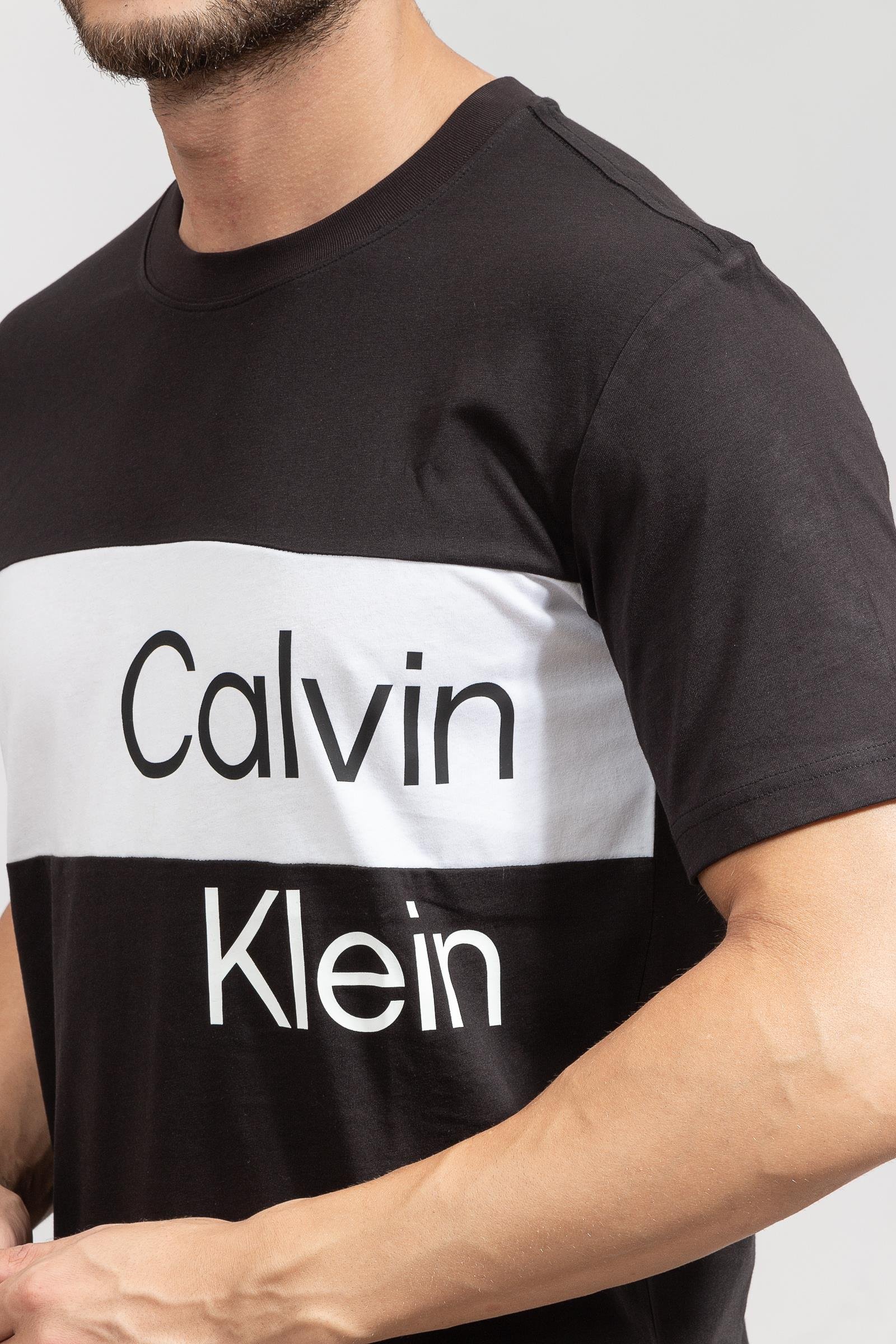 Calvin Klein Institutional Blocking Erkek Bisiklet Yaka T-Shirt