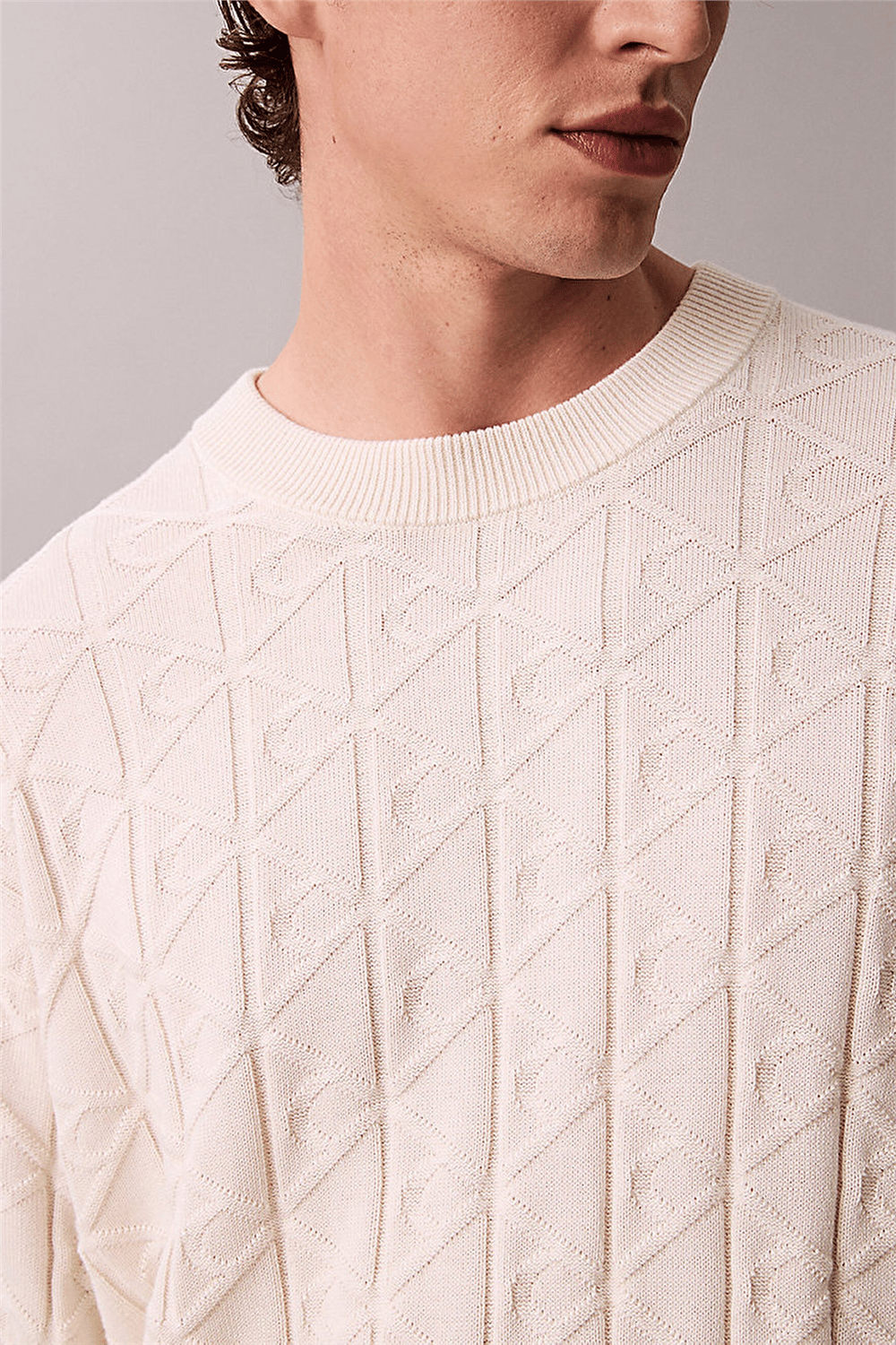 Calvin Klein LS Easy Aop Cotton Crewnk Sweate Erkek Triko Beyaz