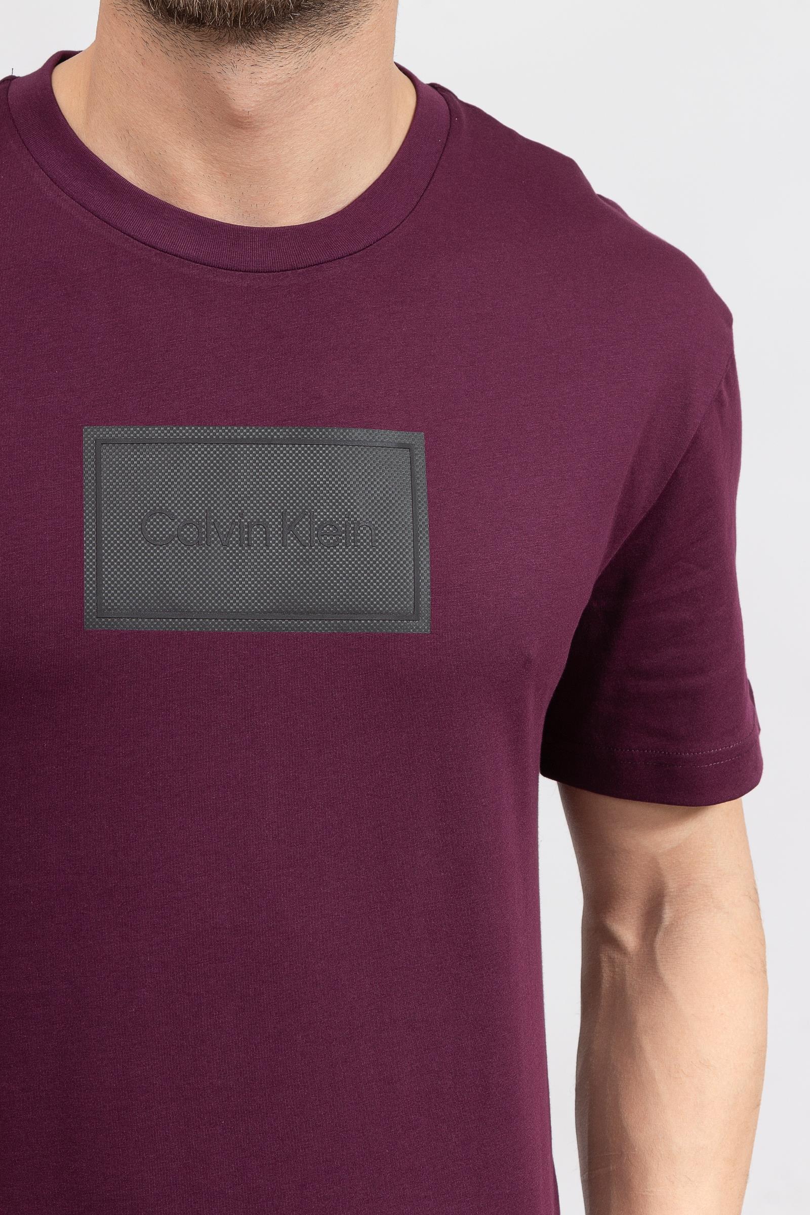 Calvin Klein Seasonal Logo Erkek Bisiklet Yaka T-Shirt