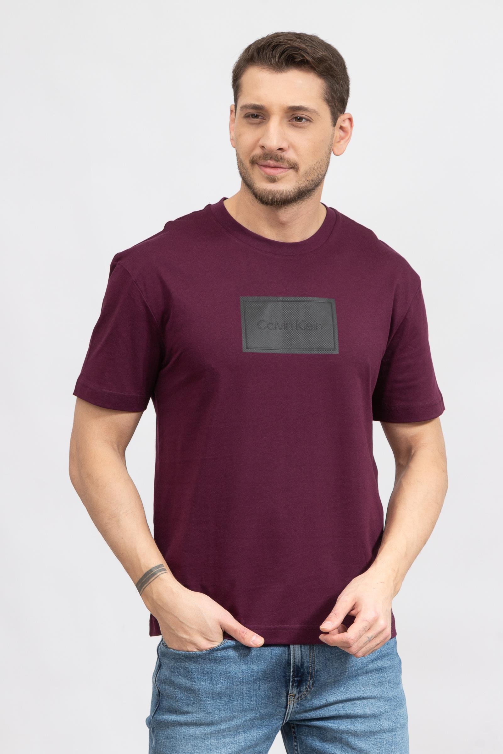 Calvin Klein Seasonal Logo Erkek Bisiklet Yaka T-Shirt