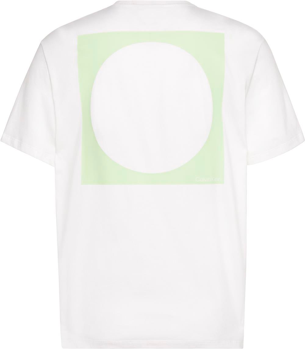 Calvin Klein Ss 20S io Circ Grap Erkek Bisiklet Yaka T-Shirt
