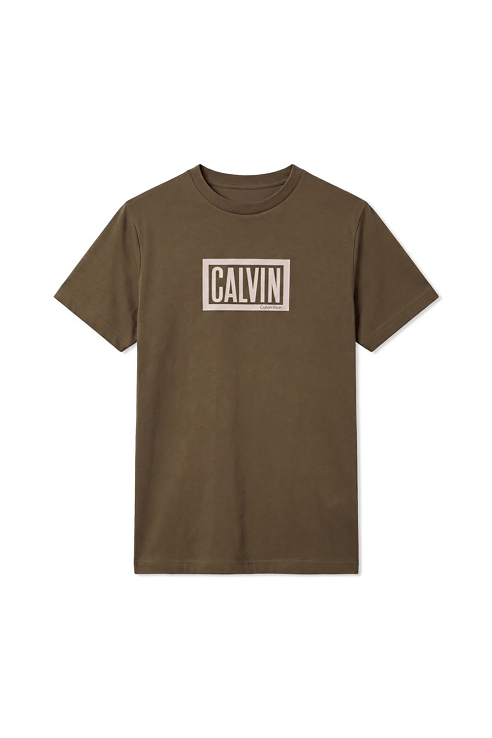 Calvin Klein Ss 30S Eu Boxed Calvin Graphic T Erkek Bisiklet Yaka T-Shirt Yeşil
