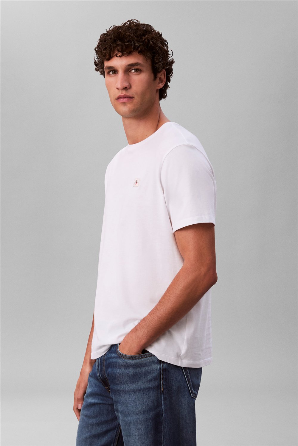 Calvin Klein Ss Badge 30S Jersey Erkek Bisiklet Yaka T-Shirt