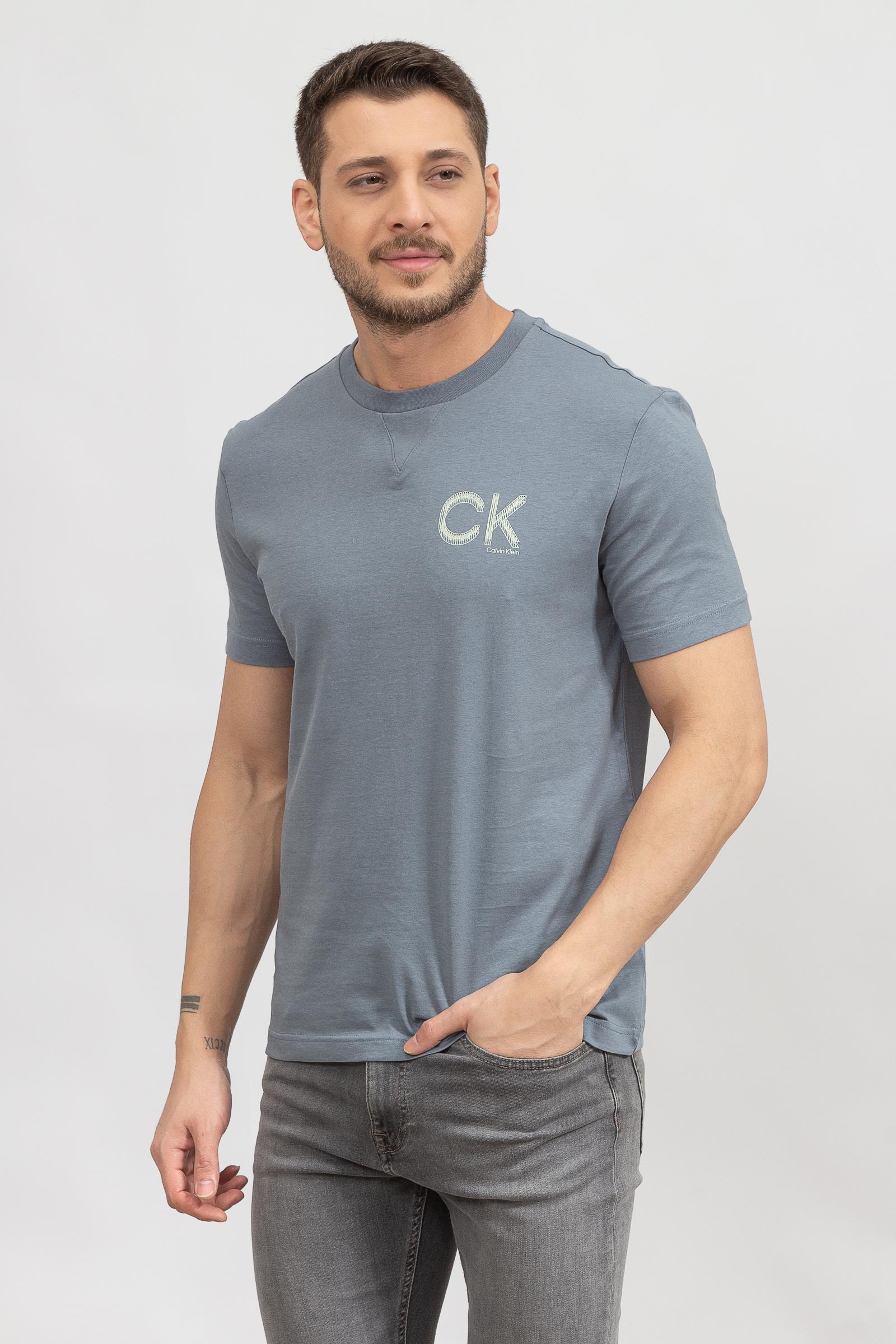 Calvin Klein Striped Chest Logo Erkek Bisiklet Yaka T-Shirt