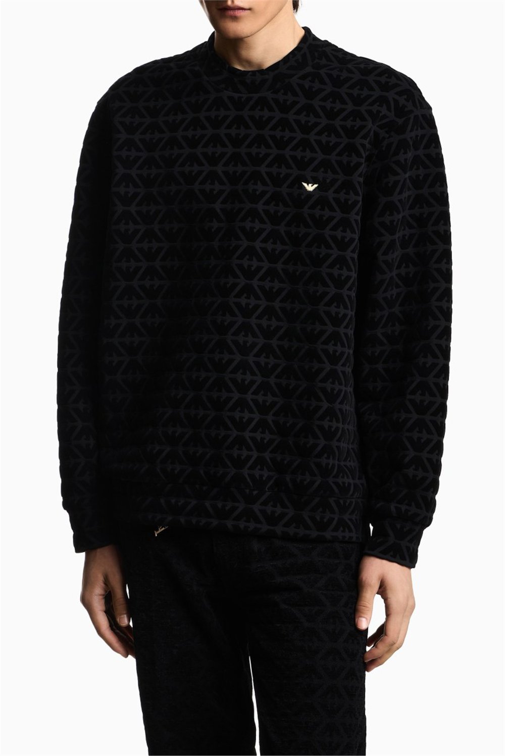 Emporio Armani Erkek Bisiklet Yaka Sweatshirt Çok Renkli
