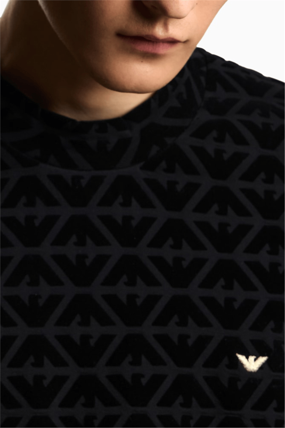 Emporio Armani Erkek Bisiklet Yaka Sweatshirt Çok Renkli