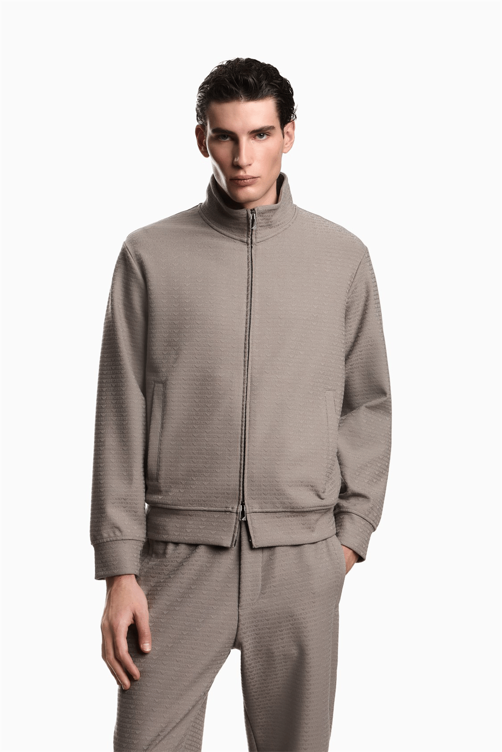 Emporio Armani Erkek Fermuarlı Sweatshirt