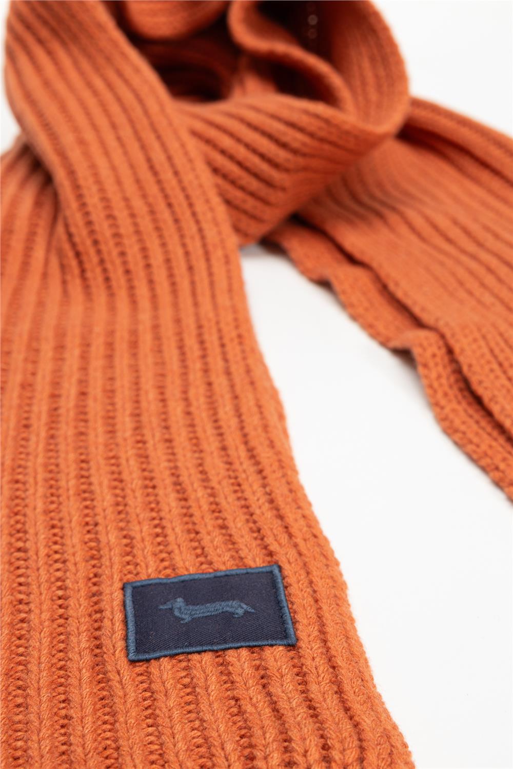 Harmont Blaine Erkek Atkı