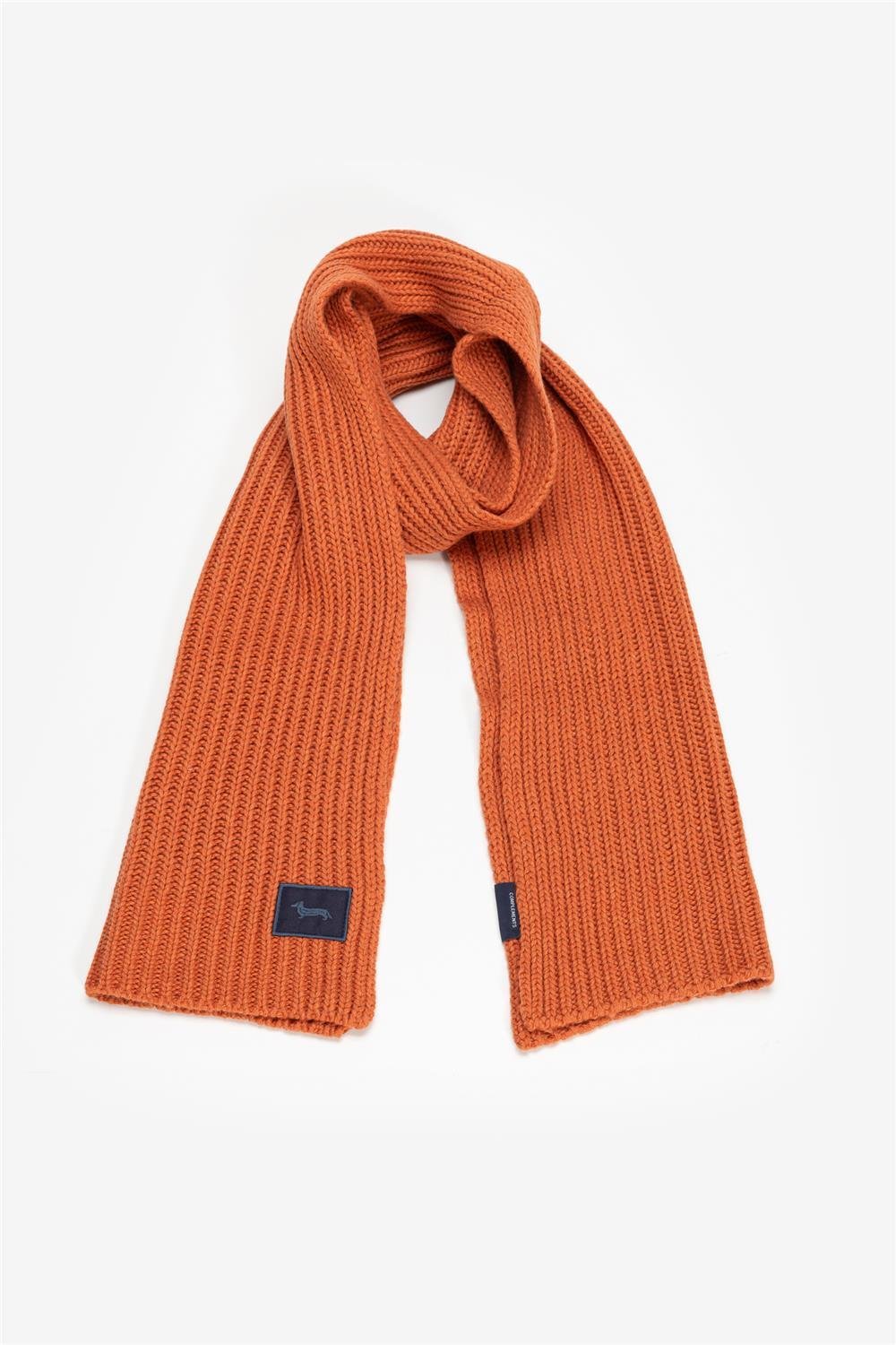 Harmont Blaine Erkek Atkı