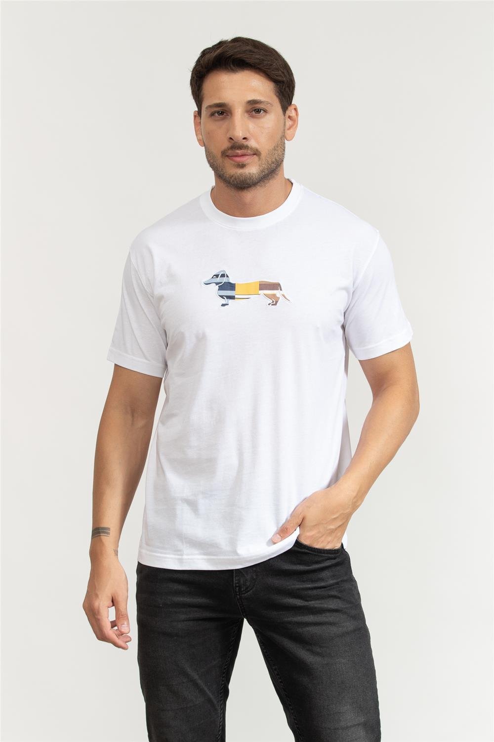 Harmont Blaine Erkek Bisiklet Yaka T-Shirt
