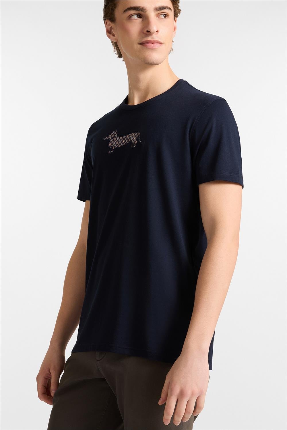 Harmont Blaine Erkek Bisiklet Yaka T-Shirt