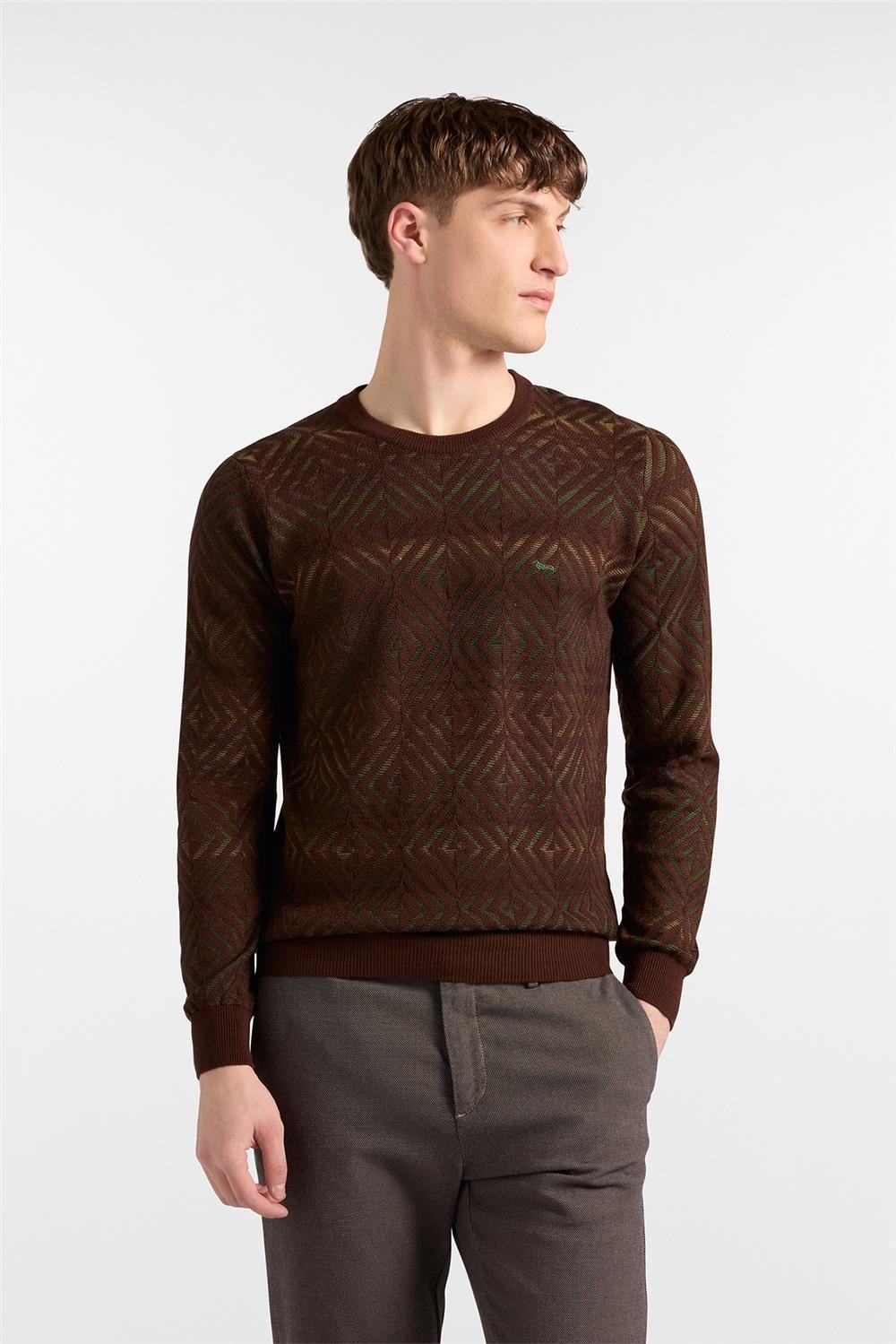 Harmont Blaine Erkek Triko