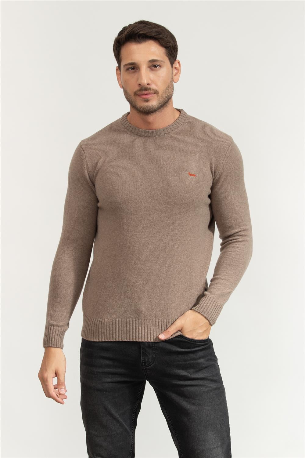 Harmont Blaine Erkek Triko