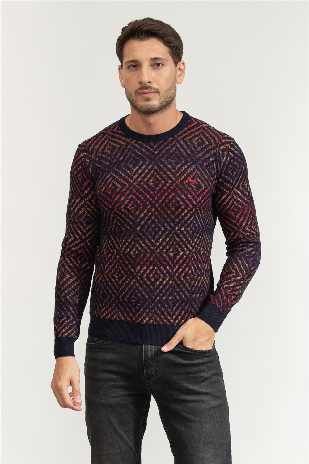 Harmont Blaine Erkek Triko