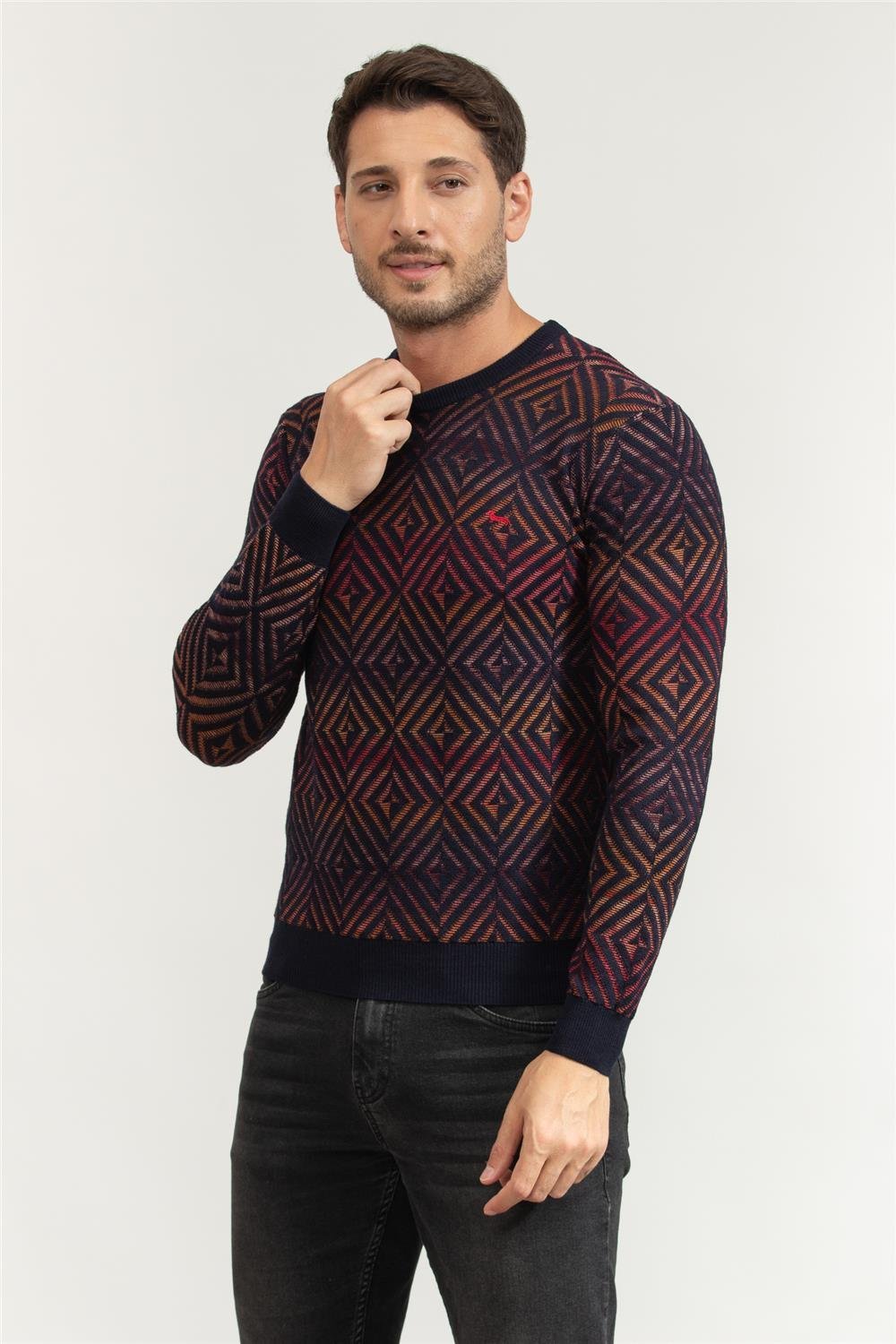 Harmont Blaine Erkek Triko