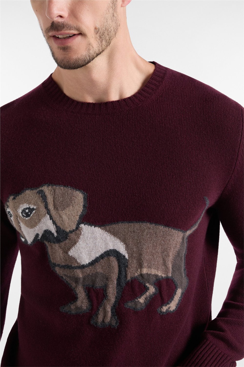 Harmont Blaine Pull Jaquard Intarsio Erkek Triko