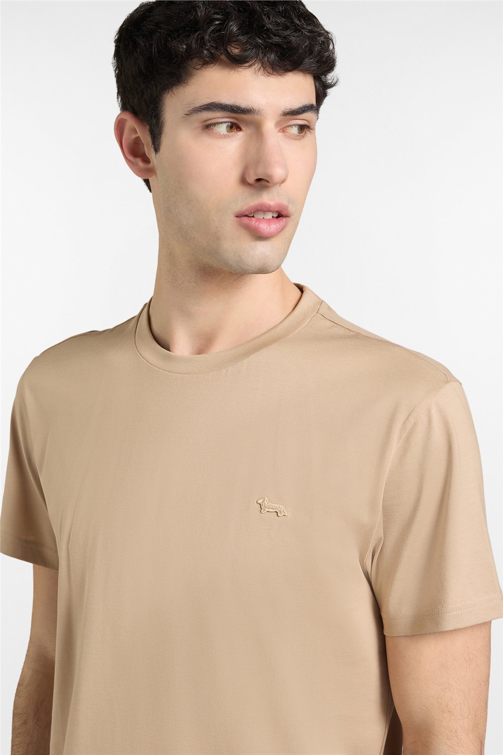 Harmont Blaine T Shirt Basic Supima Erkek Bisiklet Yaka T-Shirt