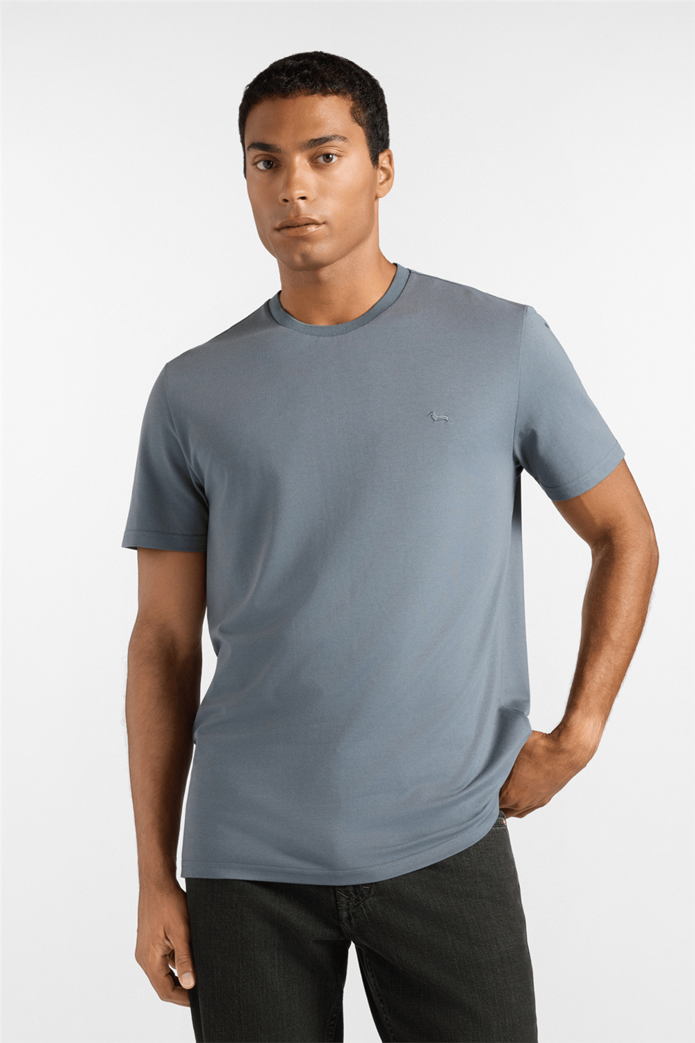 Harmont Blaine T Shirt Piquet Tecnico Erkek Bisiklet Yaka T-Shirt
