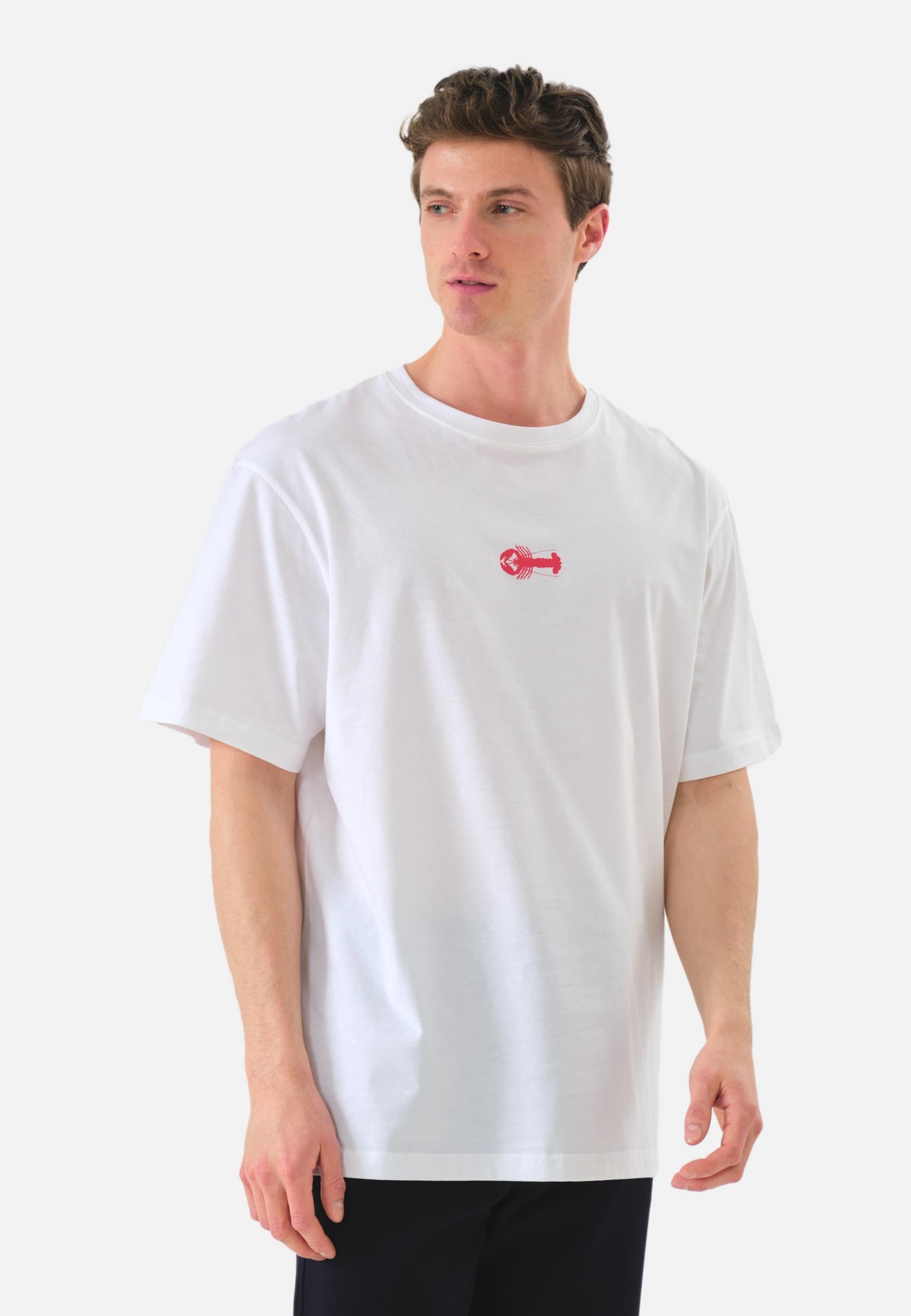 john-frank-erkek-bisiklet-yaka-t-shirt-31d-ce.jpg