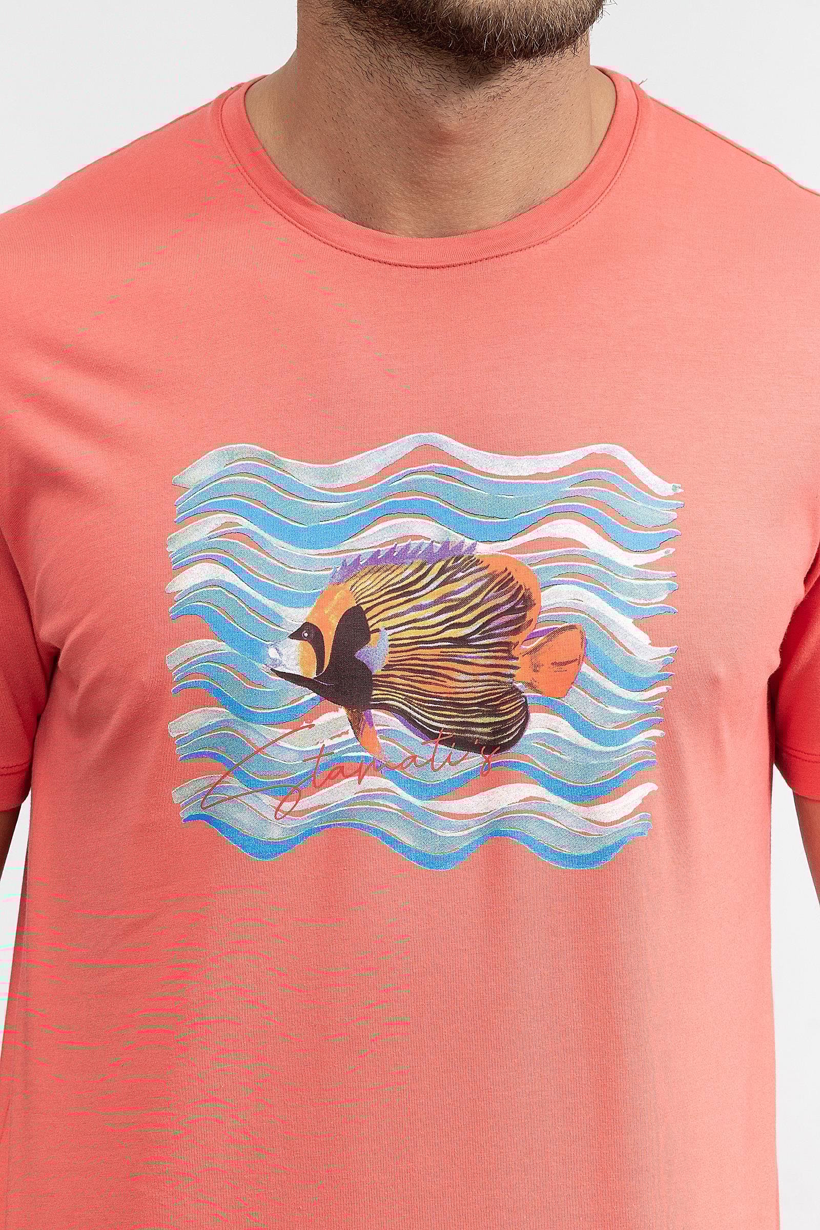 Stamati's Erkek Bisiklet Yaka T-Shirt