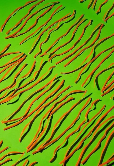 Domatesli Kırmızı Mercimekli Çubuk Makarna