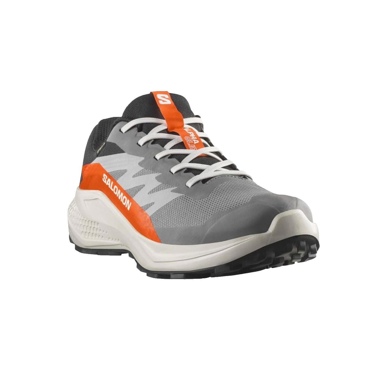 Salomon Alphaglide Gore-Tex Erkek Gri Patika Koşusu Ayakkabısı