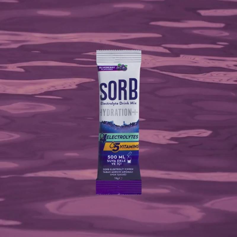 SORB Elektrolit Tozu Blueberry