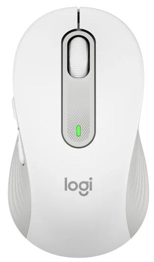 CMCMLGT0031