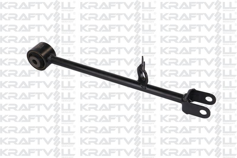 DENGE KOLU ARKA SAG DUSTER 2011-
