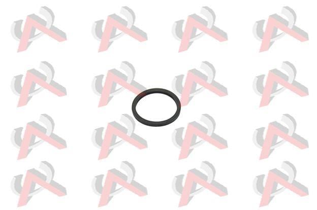 TERMOSTAT ORING R19 CLIO