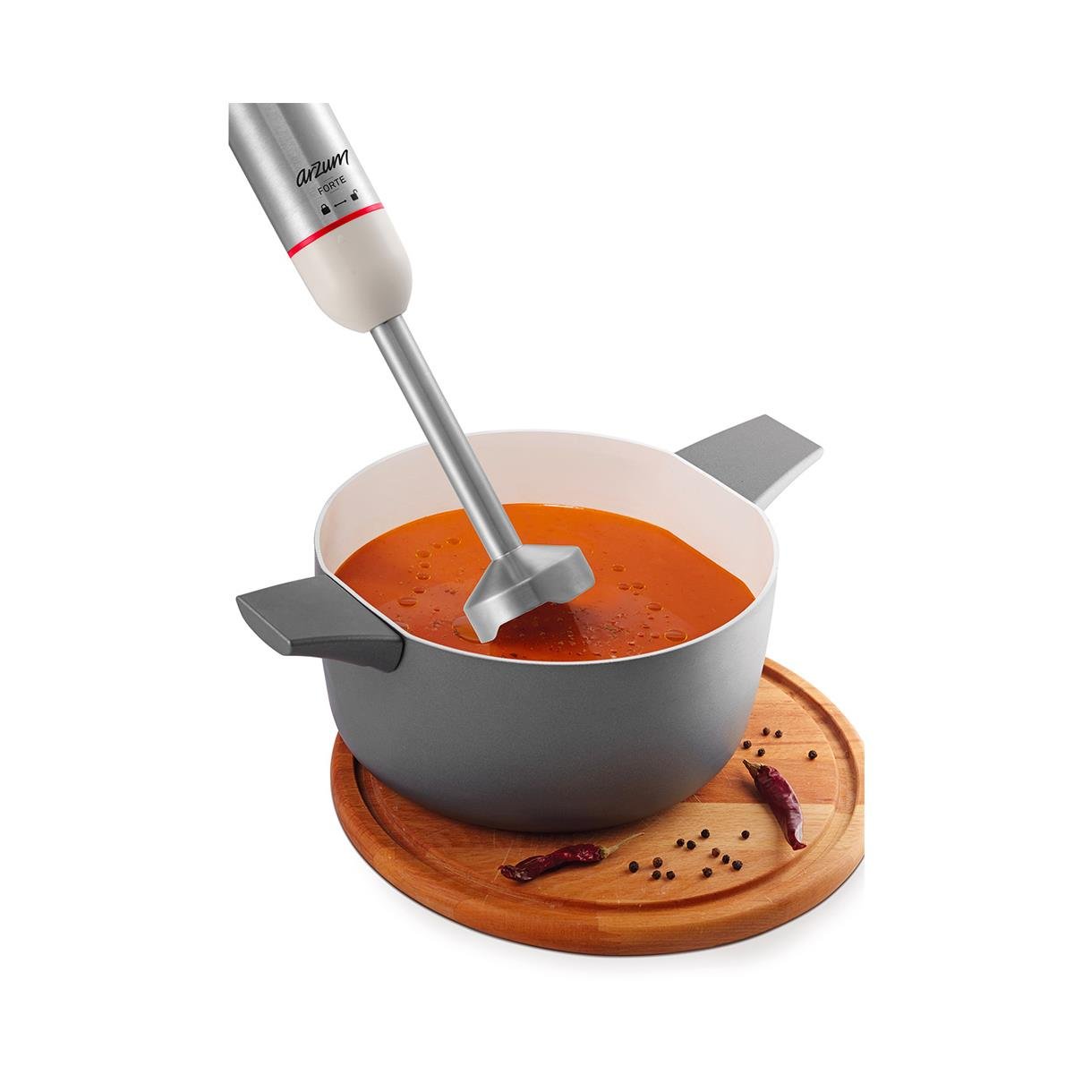 ARZUM AR1157-S FORTE MULTİ BLENDER SETİ