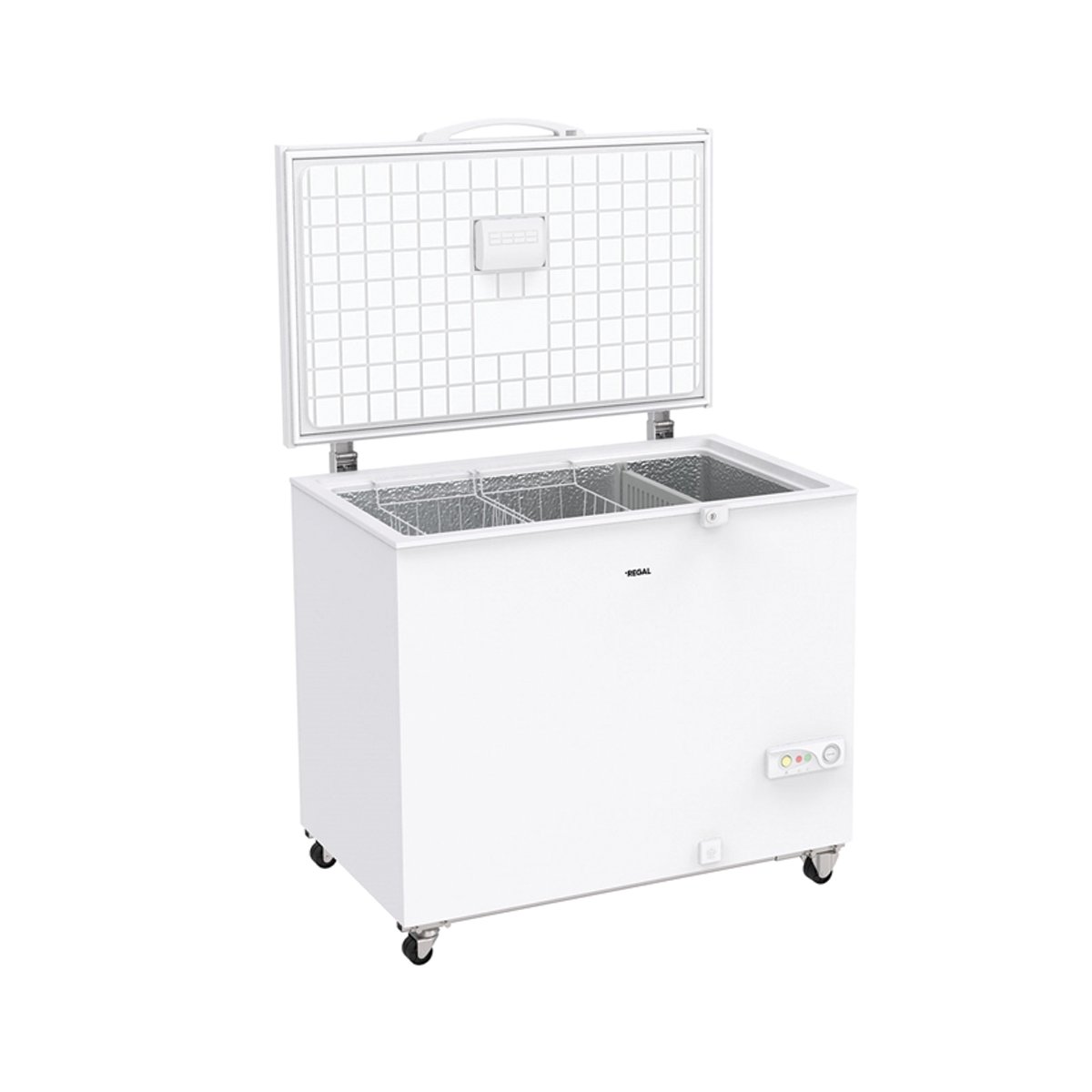 REGAL SD DUAL 3020 300 LT DERİN DONDURUCU