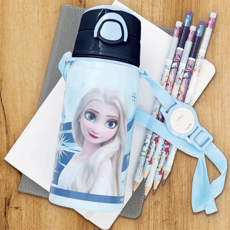 DİSNEYDISNEY Frozen Salto Rider Ç. Matara 426558681425426570