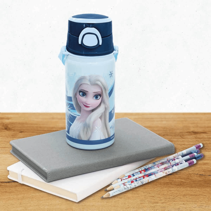 DİSNEYDISNEY Frozen Salto Rider Ç. Matara 426558681425426570