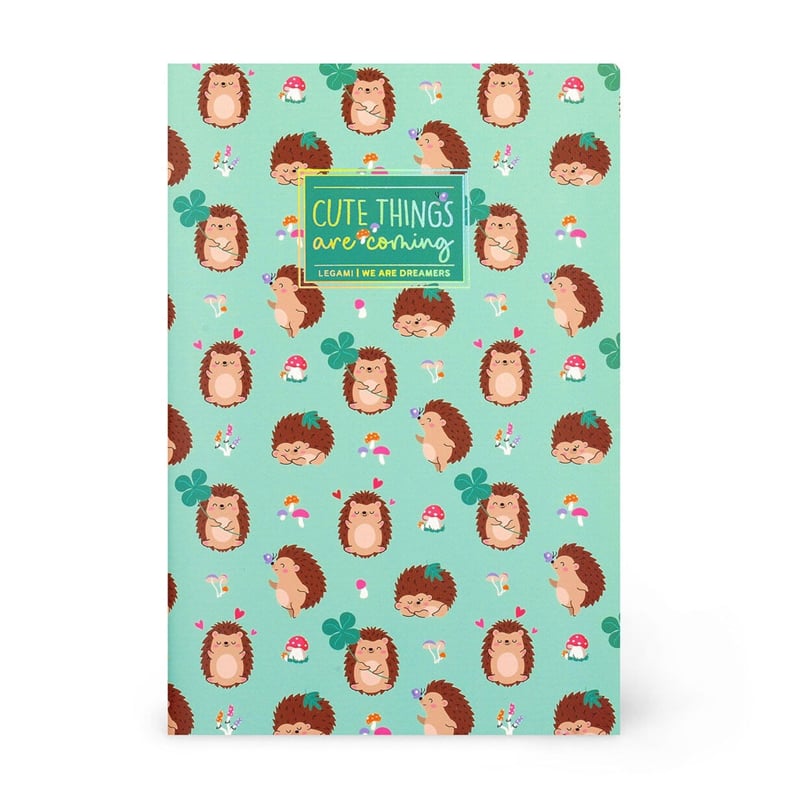LEGAMİLegami CIZGILI DEFTER - QUADERNO - ORTA - HEDGEHOG8052694029005