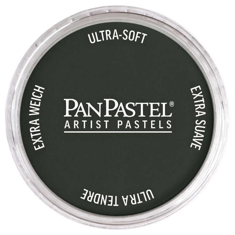 PANPASTELPANPASTEL ARTISTS PASTEL 820.1 NEUTRAL GREY EXTRA DARK 1879465001637