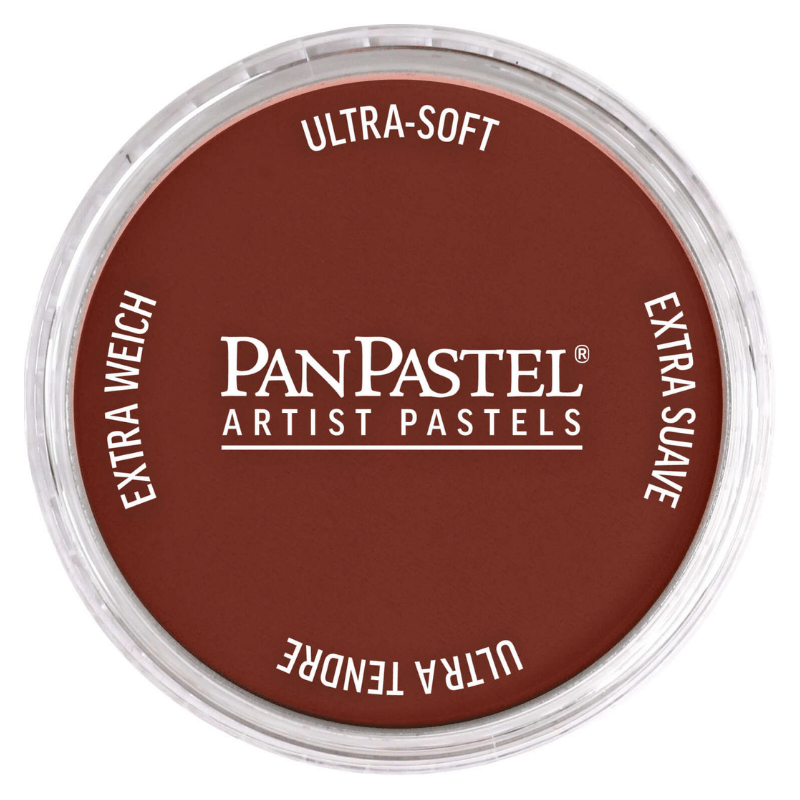 PANPASTELPANPASTEL PZ-2 ARTISTS PASTEL YUVARLAK KUTU 9ML 380.3 RED IRON OXIDE SHADEY0003101