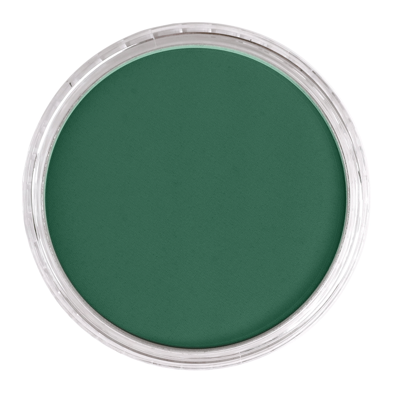PANPASTELPANPASTEL PZ-2 ARTISTS PASTEL YUVARLAK KUTU 9ML 580.1 TURQUOISE EXTRA DARKY0003113
