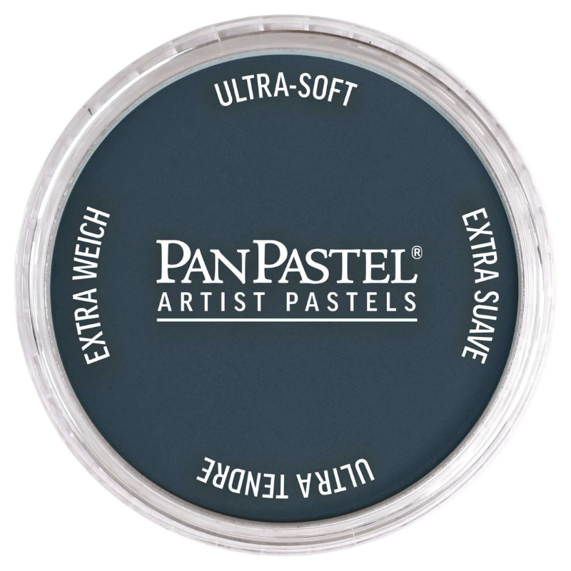 PANPASTELPANPASTEL PZ-2 ARTISTS PASTEL YUVARLAK KUTU 9ML 840.3 PAYNES GREYY0003098