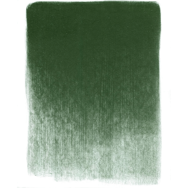 PANPASTELPANPASTEL PZ-2 ARTISTS PASTEL YUVARLAK KUTU 9ML 640.1 PERMANENT GREEN EX.DARKY0003112
