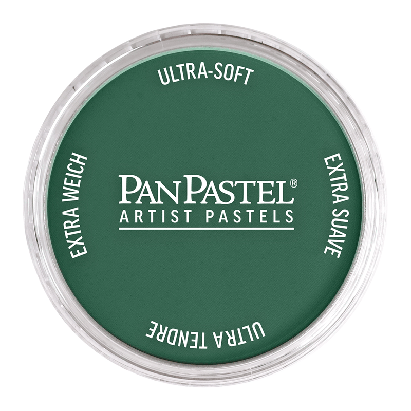 PANPASTELPANPASTEL PZ-2 ARTISTS PASTEL YUVARLAK KUTU 9ML 580.1 TURQUOISE EXTRA DARKY0003113