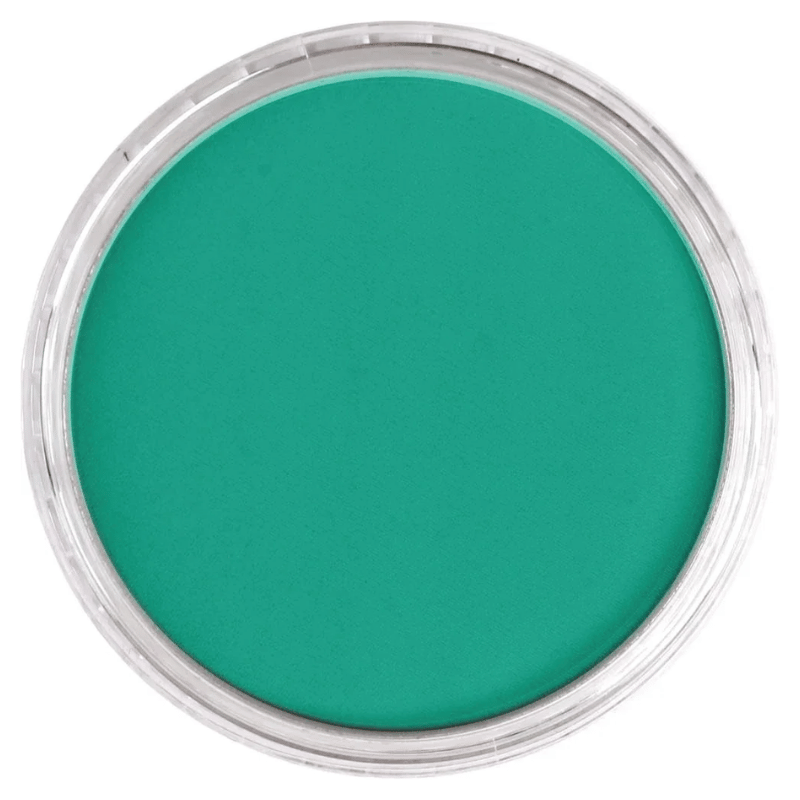 PANPASTELPANPASTEL PZ-2 ARTISTS PASTEL YUVARLAK KUTU 9ML 620.5 PHTHALO GREENY0003092