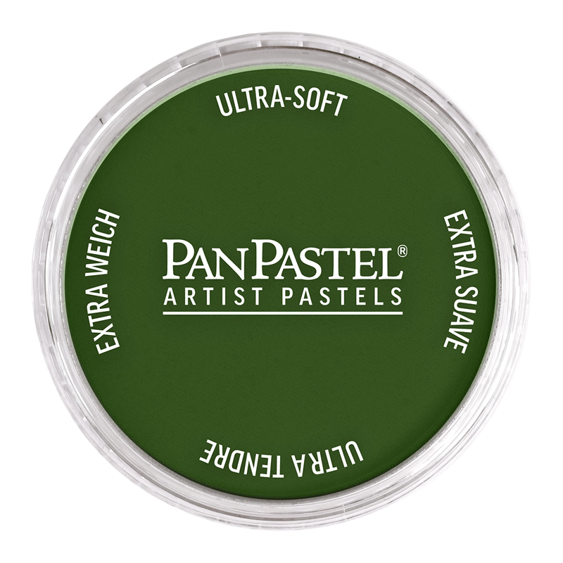 PANPASTELPANPASTEL PZ-2 ARTISTS PASTEL YUVARLAK KUTU 9ML 660.5 CHROME OXIDE GREENY0003116