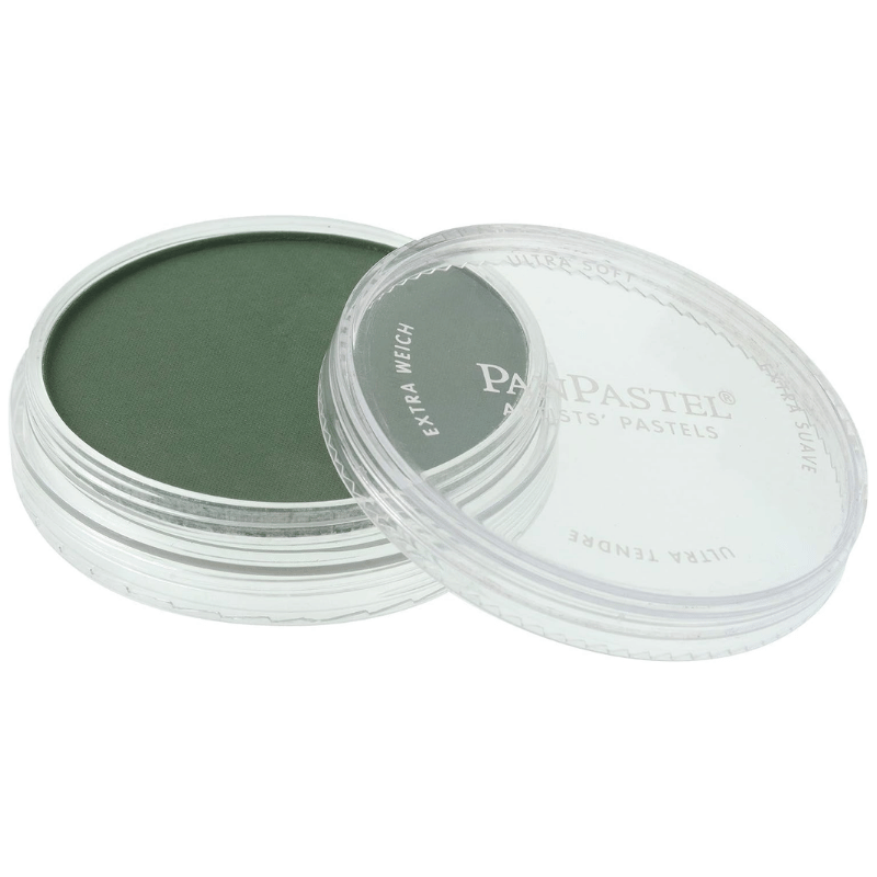 PANPASTELPANPASTEL PZ-2 ARTISTS PASTEL YUVARLAK KUTU 9ML 640.1 PERMANENT GREEN EX.DARKY0003112